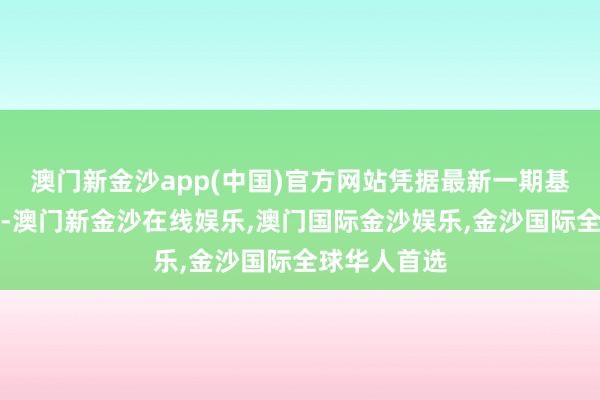 澳门新金沙app(中国)官方网站凭据最新一期基金季报表露-澳门新金沙在线娱乐,澳门国际金沙娱乐,金沙国际全球华人首选