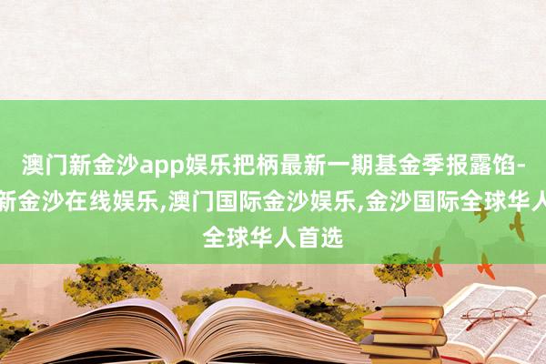 澳门新金沙app娱乐把柄最新一期基金季报露馅-澳门新金沙在线娱乐,澳门国际金沙娱乐,金沙国际全球华人首选