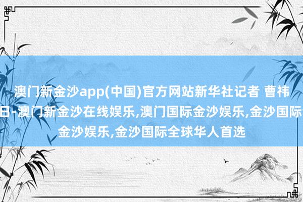 澳门新金沙app(中国)官方网站　　新华社记者 曹祎铭 摄　　11月27日-澳门新金沙在线娱乐,澳门国际金沙娱乐,金沙国际全球华人首选