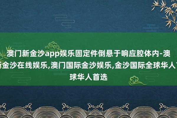 澳门新金沙app娱乐固定件倒悬于响应腔体内-澳门新金沙在线娱乐,澳门国际金沙娱乐,金沙国际全球华人首选