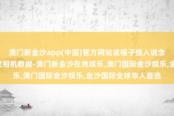 澳门新金沙app(中国)官方网站该模子接入说念路交叉口4路电子阅览相机数据-澳门新金沙在线娱乐,澳门国际金沙娱乐,金沙国际全球华人首选