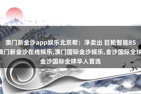 澳门新金沙app娱乐北京帮：净卖出 巨轮智能8558万元-澳门新金沙在线娱乐,澳门国际金沙娱乐,金沙国际全球华人首选